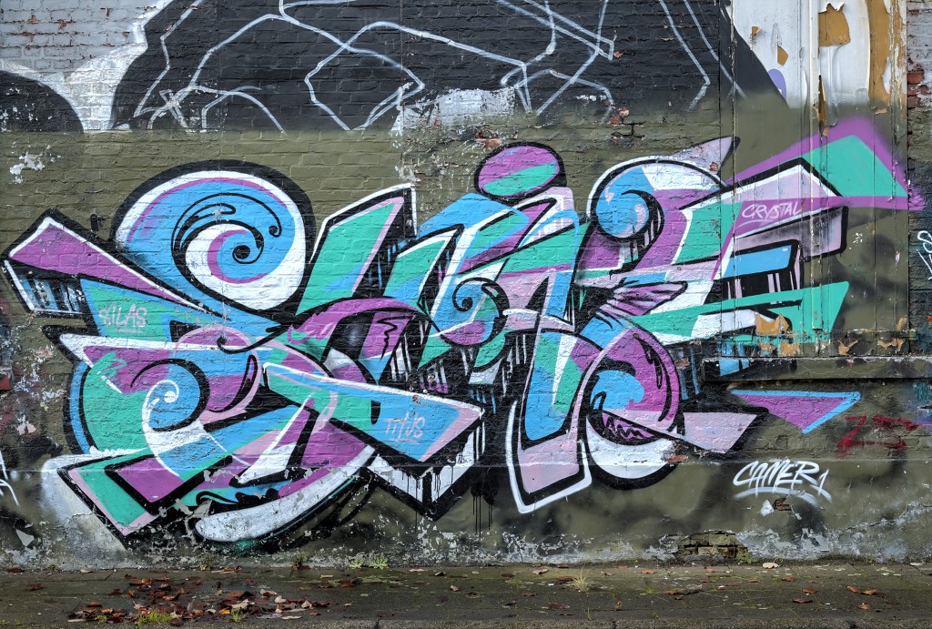 graffiti doel belgie roa hdr urbex art kunst kunstwerk mural murals